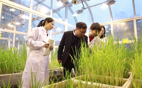 魏太云：聚焦強(qiáng)農(nóng)興農(nóng)需求，傳承...